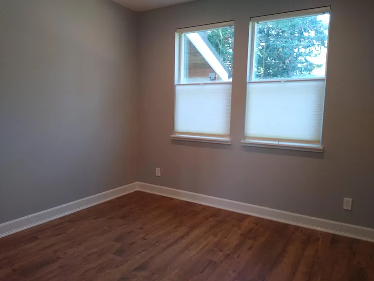 Downstairs bedroom