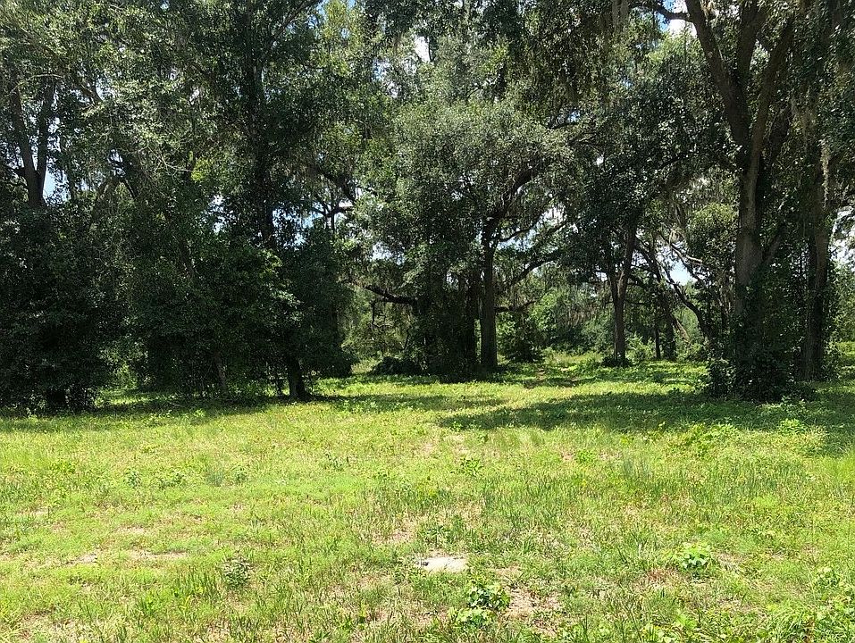 1st image of 237 NW Timucua Dr