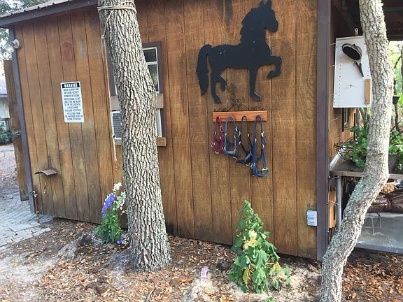 3rd image of 2769 N Stirrup Dr