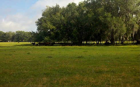 4th image of 7613 County Road 249