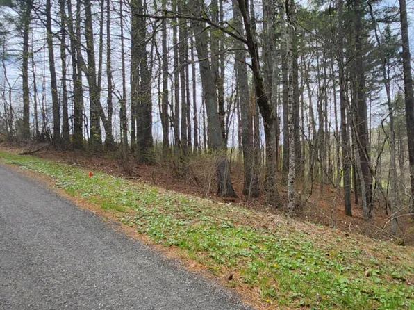 28 Manor House Dr, Laurel Fork, VA 24352