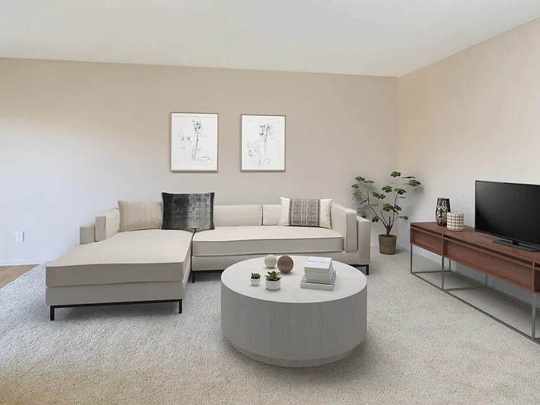 Carpeted Living Area