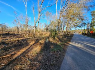 47 Sherwood Dr Lot 1, Shepherd, TX 77371