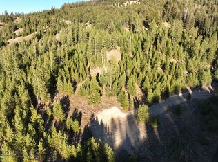 5 Ruby Mine Rd, Butte, MT 59701