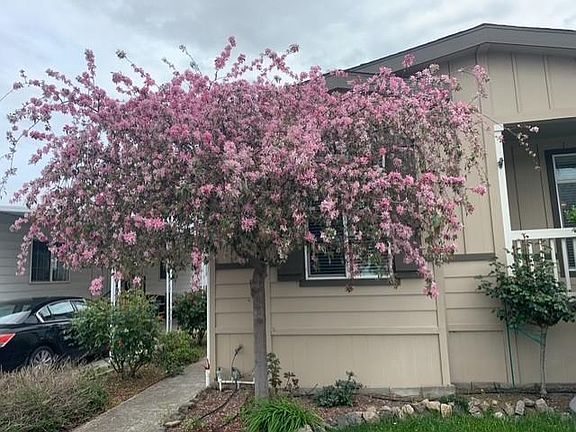 2nd image of 63 Mulberry Ct #63