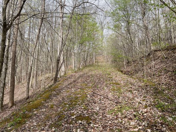 0 Obrion Rd, Duck, WV 25063