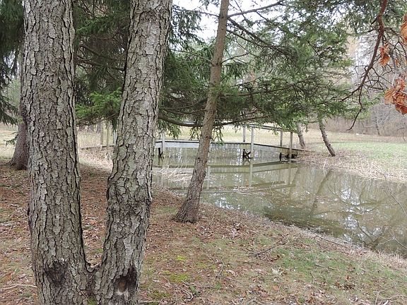 Back pond w/bridge to island