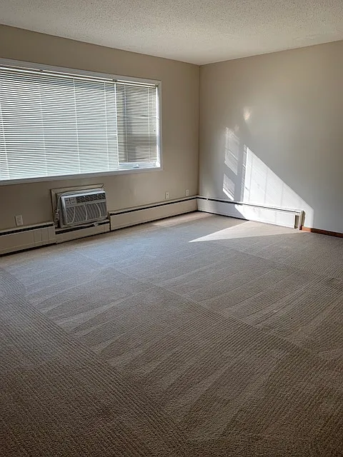 Studio, $900 — Photo 4