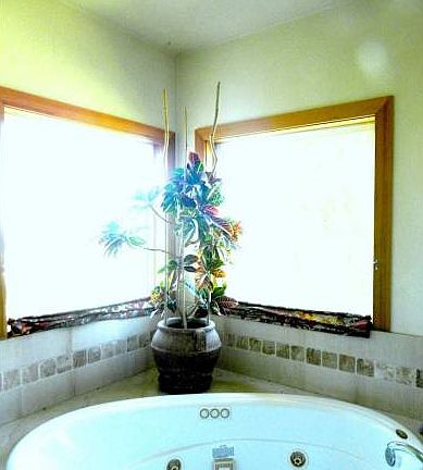 Jacuzzi Tub in Master