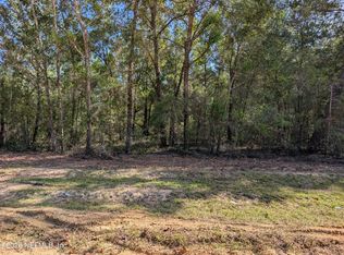 0 CARDINAL Street, Interlachen, FL 32148