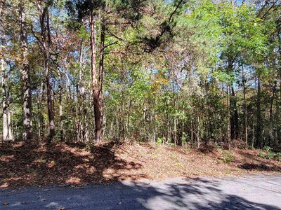 0 Marietta Dr LOT 236, Westminster, SC, 29693