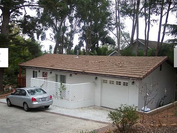 Large shade trees line property