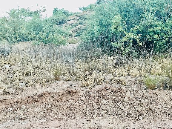 5th image of 71 W Saguaro Cir