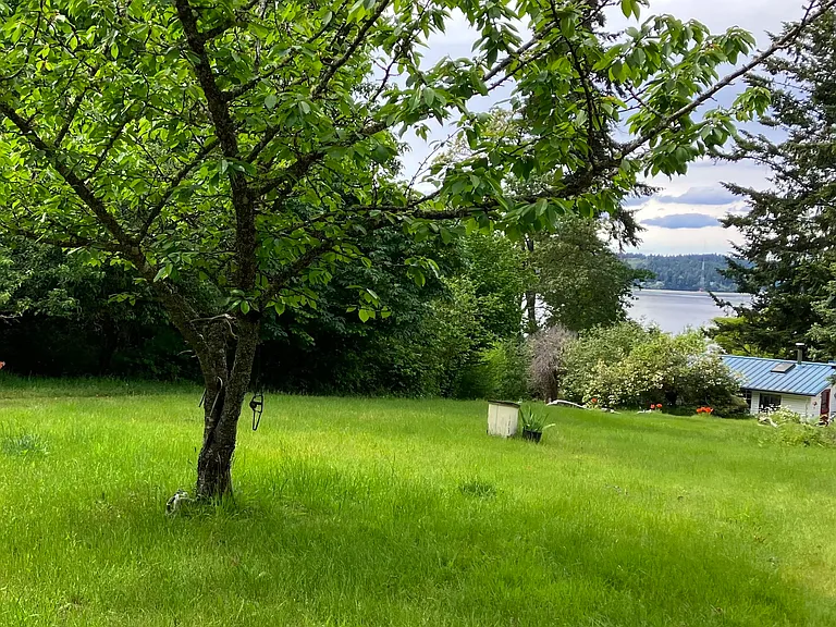 59th Pl SW — Photo 3