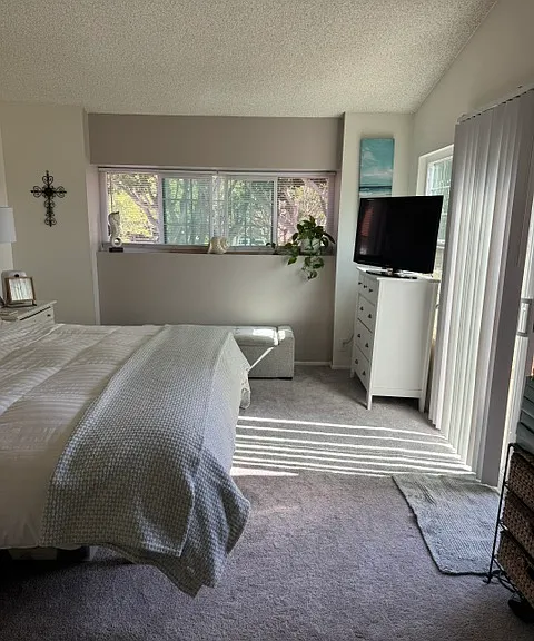 Las Palomas Dr — Photo 11