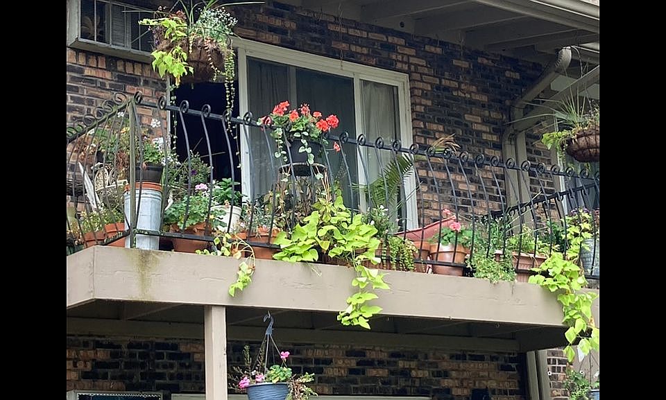 1st image of 9S125 Lake Dr #203