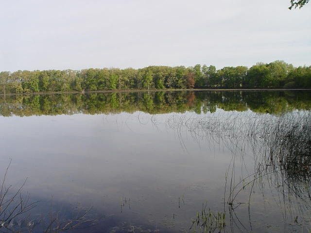 2nd image of LOT 3 Washburn Lake Ln