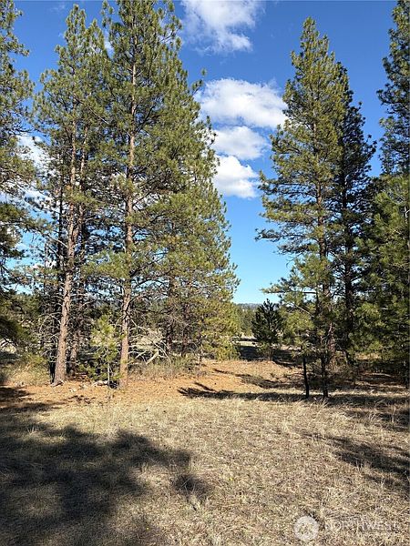 2nd image of 0 Tamarack Road