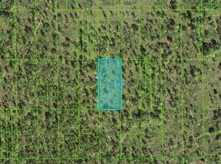 Shady Oaks Dr, Lake Wales, FL 33898