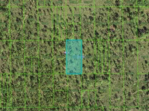 Shady Oaks Dr, Lake Wales, FL 33898