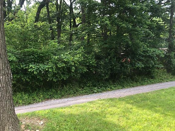 2nd image of McKenzie Rd