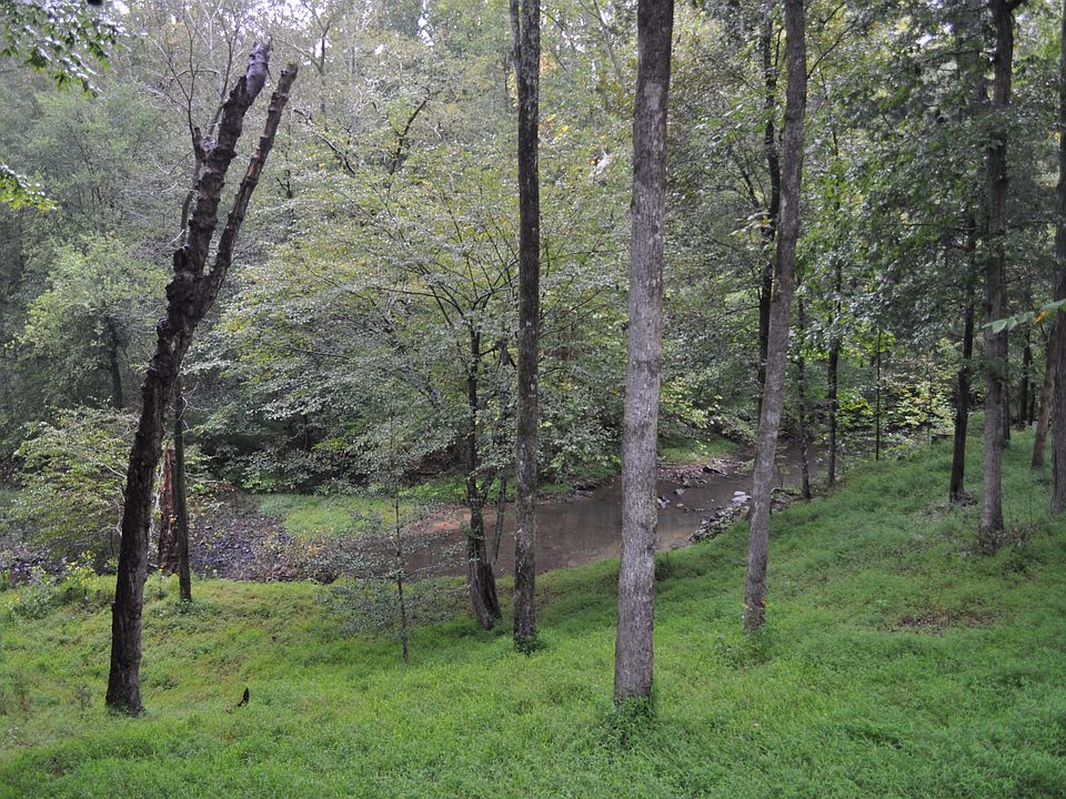 View from Back Deck