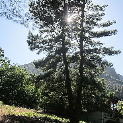 3rd image of 3565 Meadow Wood Dr