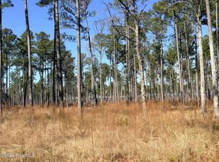 0 Sr 1119 Off, Chocowinity, NC 27817