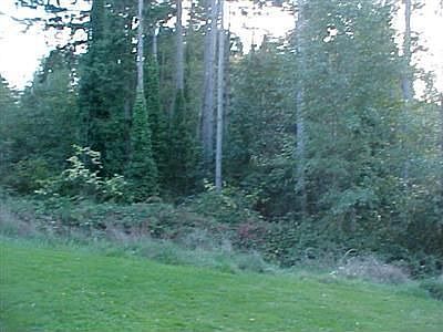 Another view, facing SW.