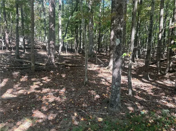 1352 Willow Ter, Jasper, GA 30143