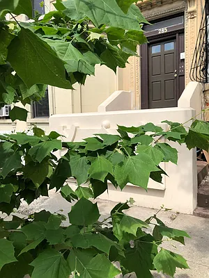 Rented by Foundation Realty Group | media 19