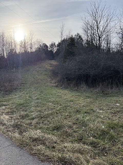 2nd image of TRACT 2 Puckett Rd