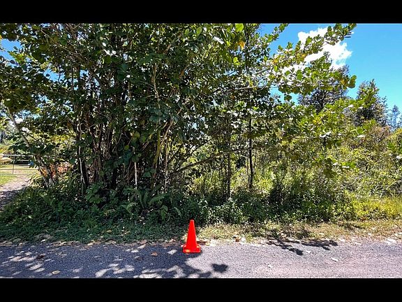 5th image of 2nd Avenue Aloe Lot 2746