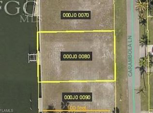 2403 Carambola Ln, Saint James City, FL 33956