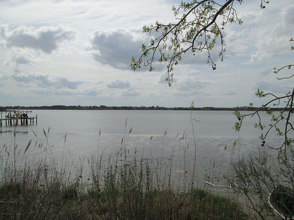 View from rear of building