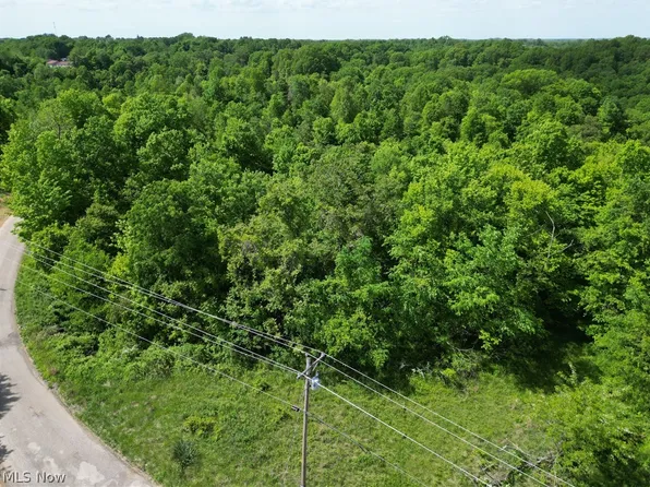 Virginia Ridge Rd, Philo, OH 43771