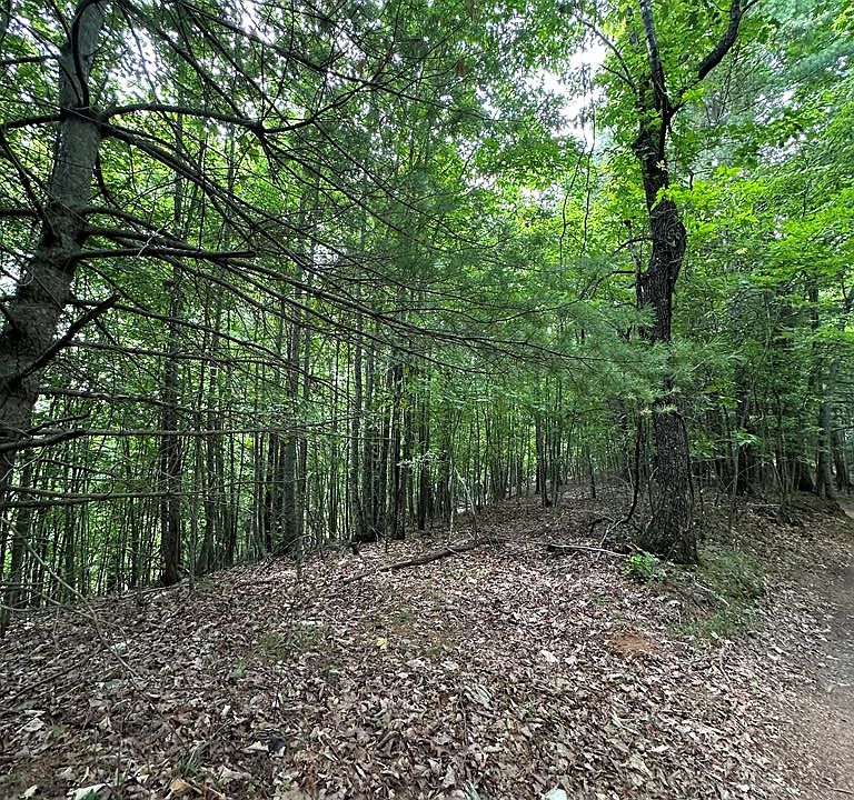 1st image of Long Bow Ln