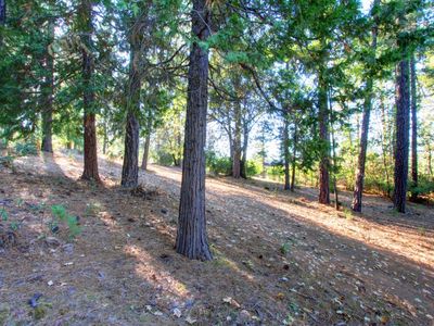 15075 Grand Knoll Dr, Meadow Vista, CA, 95722