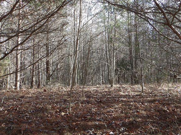 4th image of 0 Meadow Ln Lot 185