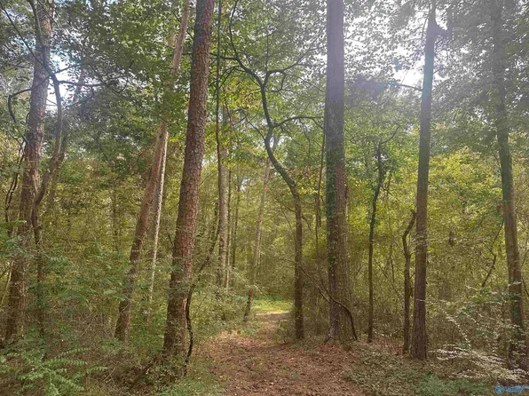 98 Criscoe Cir, Union Grove, AL 35175