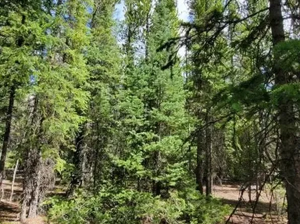 0 Valley Of The Sun Dr, Fairplay, CO 80440