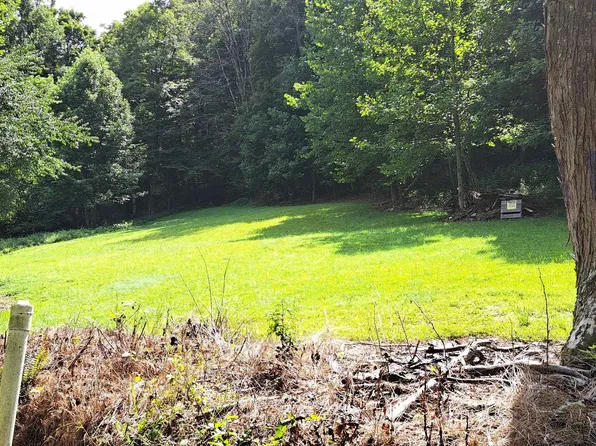 Pharis Rd, Belington, WV 26250