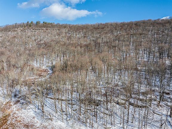 4th image of Betty Brook Road