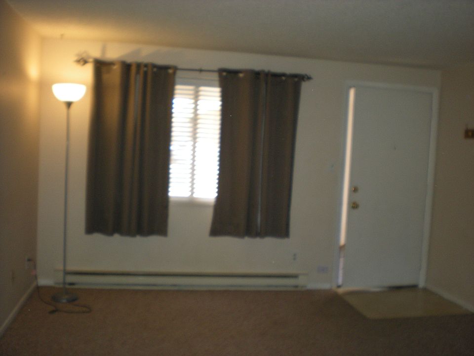 Custom window blinds with west facing window views of sunsets.