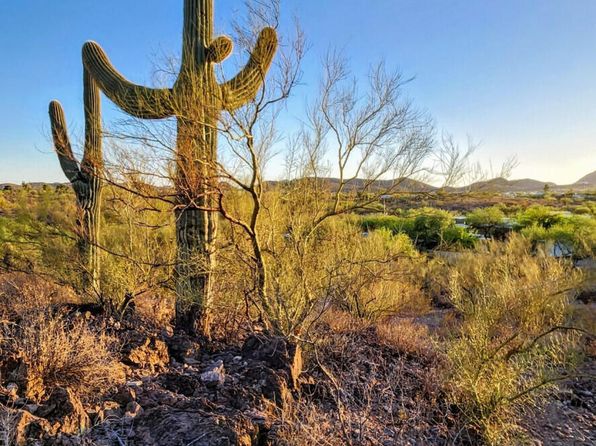 1951 W King Ave, Tucson, AZ 85713