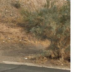 31627 Beacon, Parker, AZ 85344