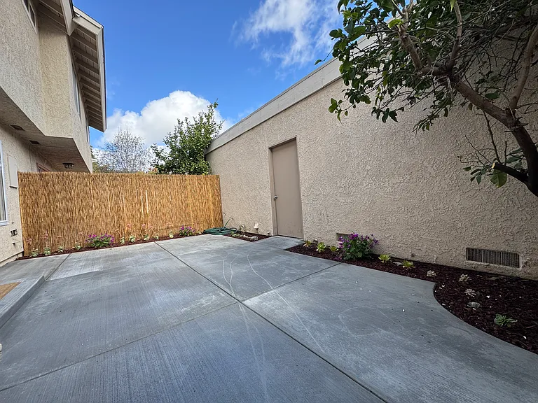 18 Snapdragon — Photo 19