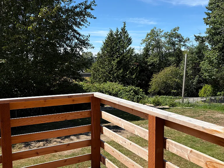 Backyard view