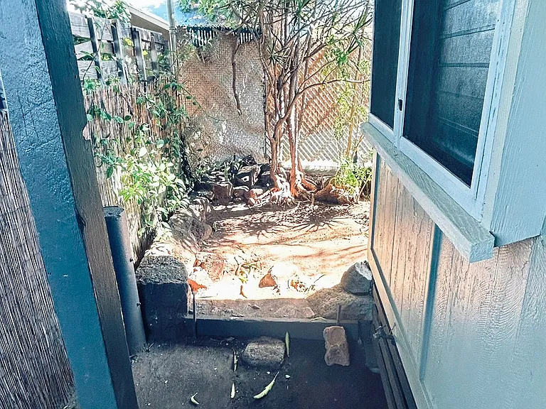 Back entry
