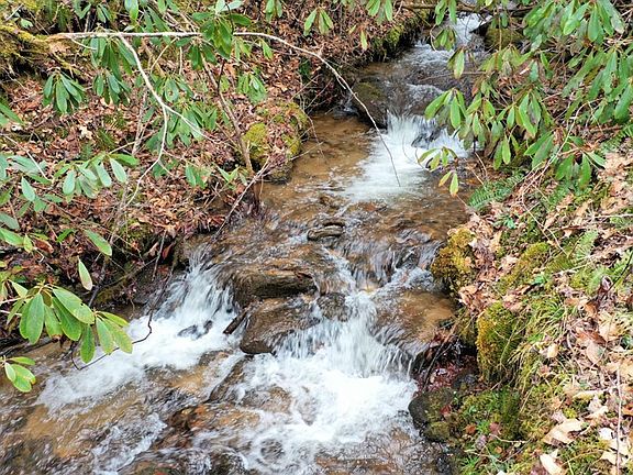 2nd image of 0 Tilley Creek Rd